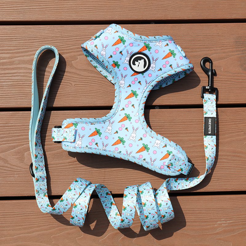 OKEYPETS Promotional Oem Pattern Buckle Double Layers Colorful Dog Leash Sublimation and Eco Friendly Dog Poop Bags Holder