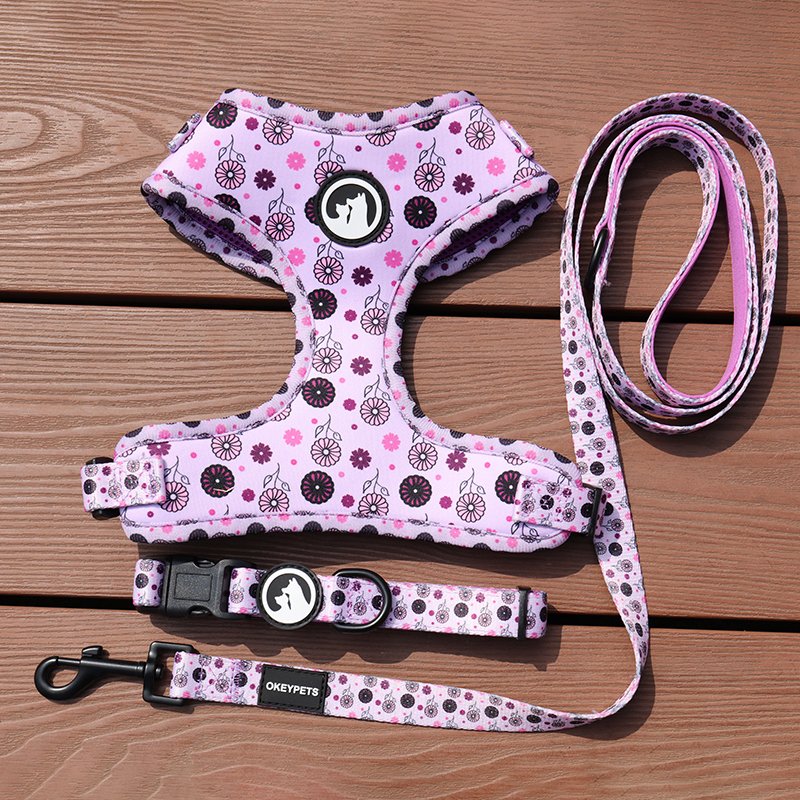 OKEYPETS Promotional Oem Pattern Buckle Double Layers Colorful Dog Leash Sublimation and Eco Friendly Dog Poop Bags Holder