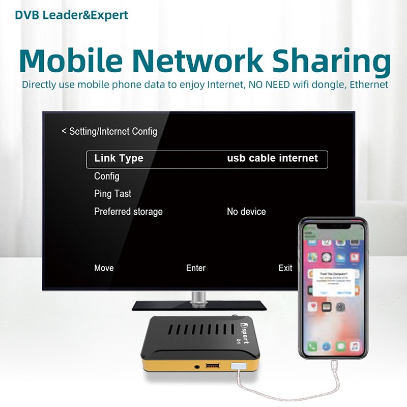 Africa Dvb-s2 built-in wifi FTA Decoders tuner Dsport iks server Mini Satellite Tv Receiver Dvb S2 Free DTH card set-top box
