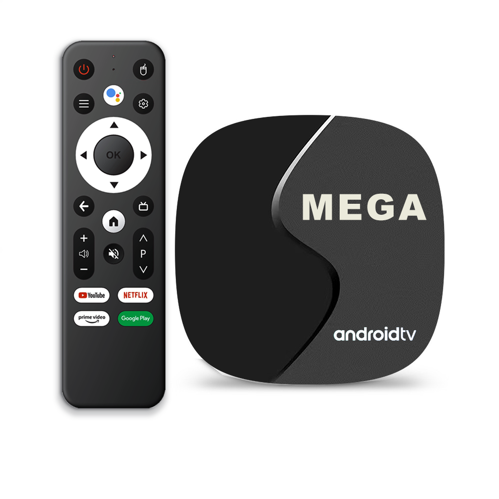 Android TV Box V96 with megaOTT 1year FREE TV channels 2GB 16GB Android10 4K Dual Band WIFI Set Top Box Stable Fast TV Box 2024