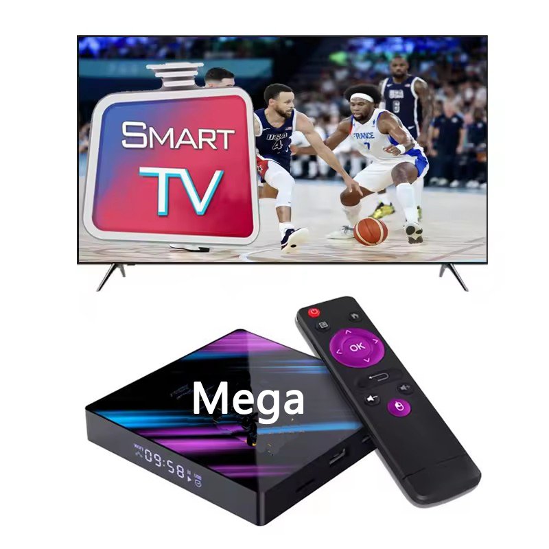 4K Lion OTT TV box Lionott Hot Sale germany albania turkey Smart tv