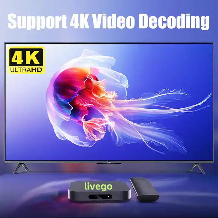 Trex Strong 4K 8K TV Box Lion Server with reseller panel 4k tv stick HD Megaott Dino Free Test smart tv for German Europe USA UK
