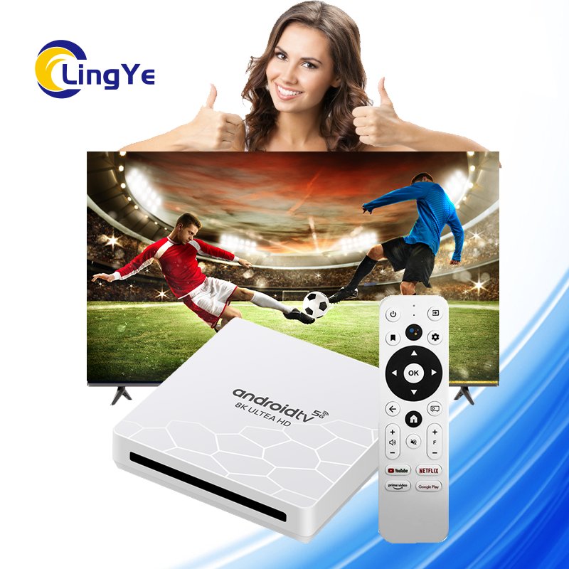 LingYe New sell Android 9 Hi3798 4K P60 1GB+8GB Smart TVBox Quad Core Set Top Box WIFI 2.4G/5G Android Network ATV