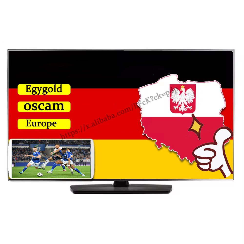 Europe HD 1 Year CCCam Poland Slovakia Germany Italy Satellite TV Receiver Europe Cccam 6/8 Clines For DVB-S2 Set Top Box