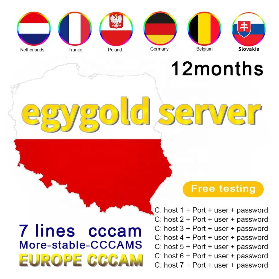 Stable Europe Cccam Panel 10 PCS Cccam egygold 7 Lines For Satellite TV Receiver UK Italy Netherlands Slovakia CCcam Reseller