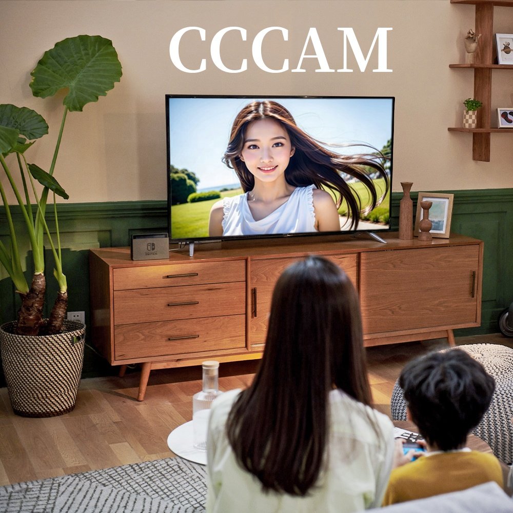 Stable Europe Cccam Panel 10 PCS Cccam egygold 7 Lines For Satellite TV Receiver UK Italy Netherlands Slovakia CCcam Reseller