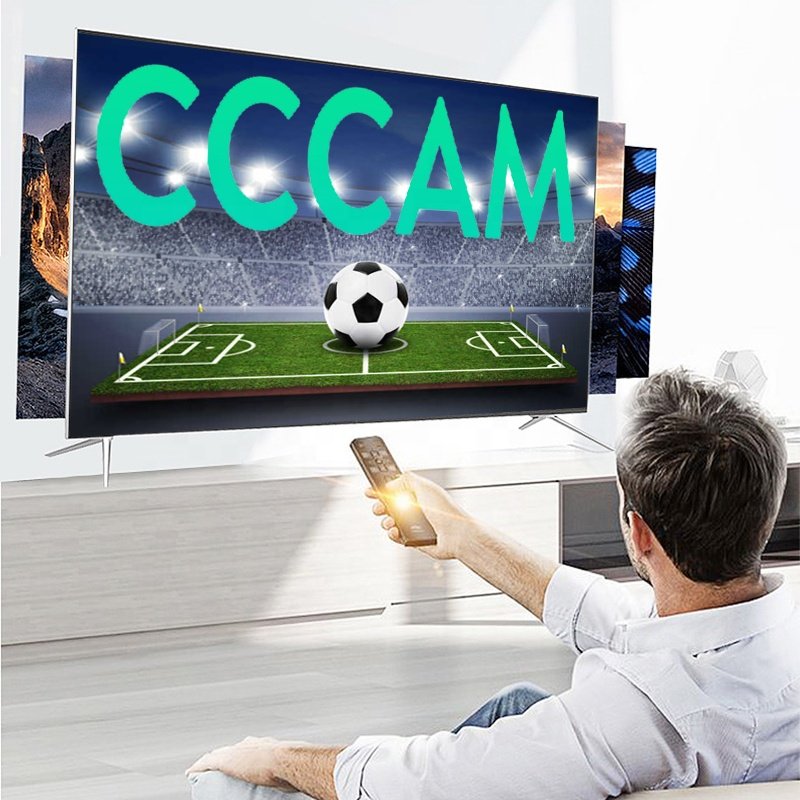 Stable Europe Cccam Panel 10 PCS Cccam egygold 7 Lines For Satellite TV Receiver UK Italy Netherlands Slovakia CCcam Reseller