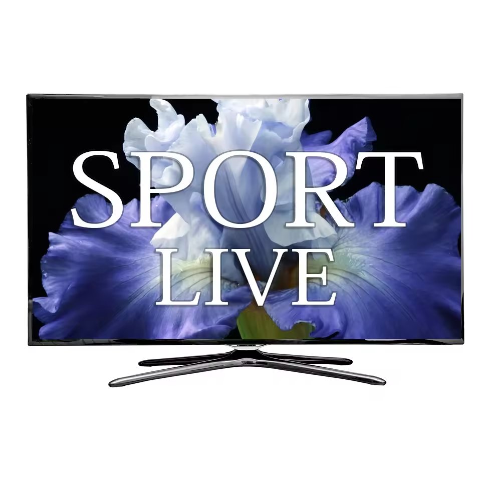 Android Box Code free test Reseller Best Factory Price X96Q PRO Android 14 TV Box 2gb 16gb Set Top Box with Reseller