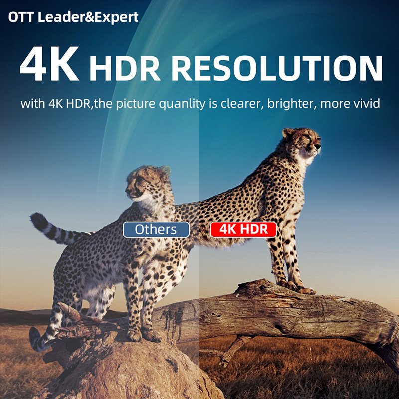 4k Android Internet Tv Box Quad Core IP*TV 12month TX Super 8K 2+16GB Home Office digital tv Xnxx video smart stream set-top box