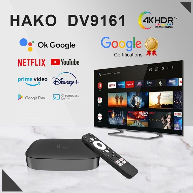 Hot Selling HAKO DV9161 Smart Set-Top Box Iptv 4K Google TV based on Android 11 Tv Box 2GB+16GB Dual Wifi Digital With Bt 5.0