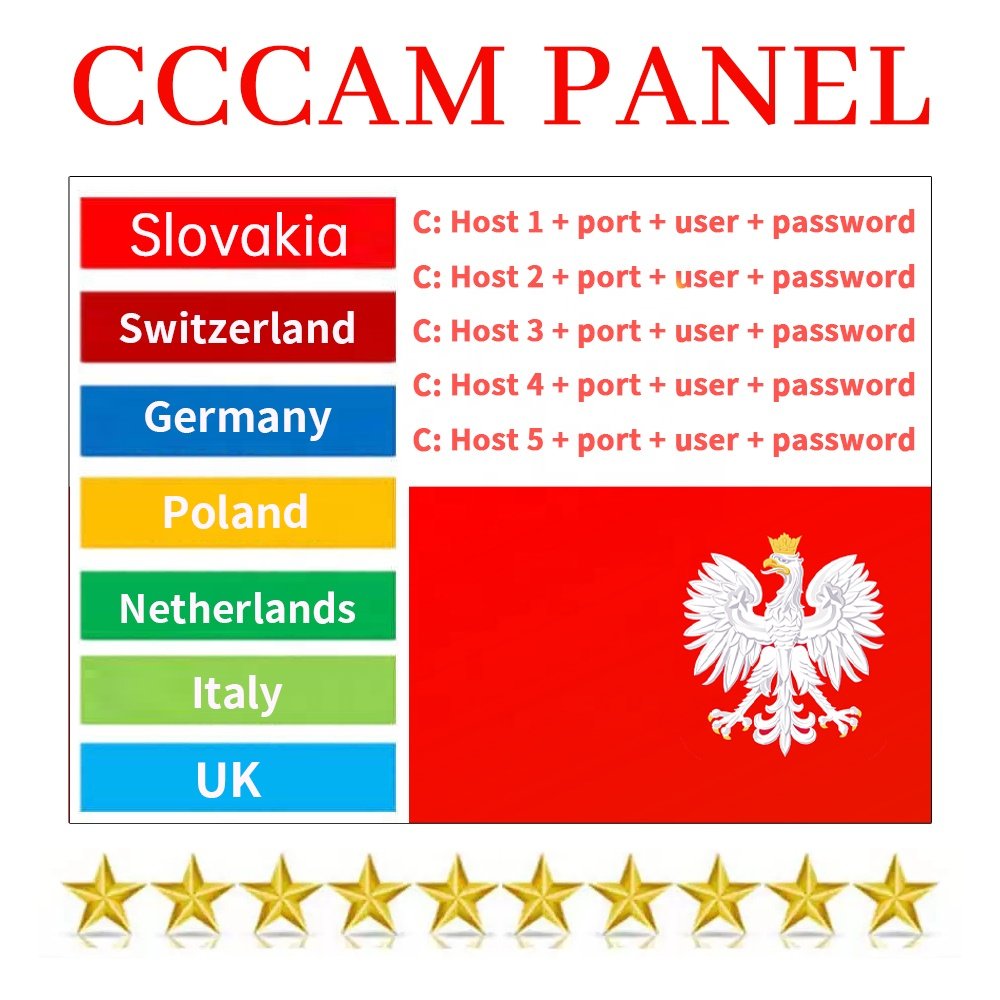 Stable Europe Cccam Panel 10 PCS Cccam Cline 5 Lines For Satellite TV Receiver UK Italy Netherlands Slovakia CCcam Reseller