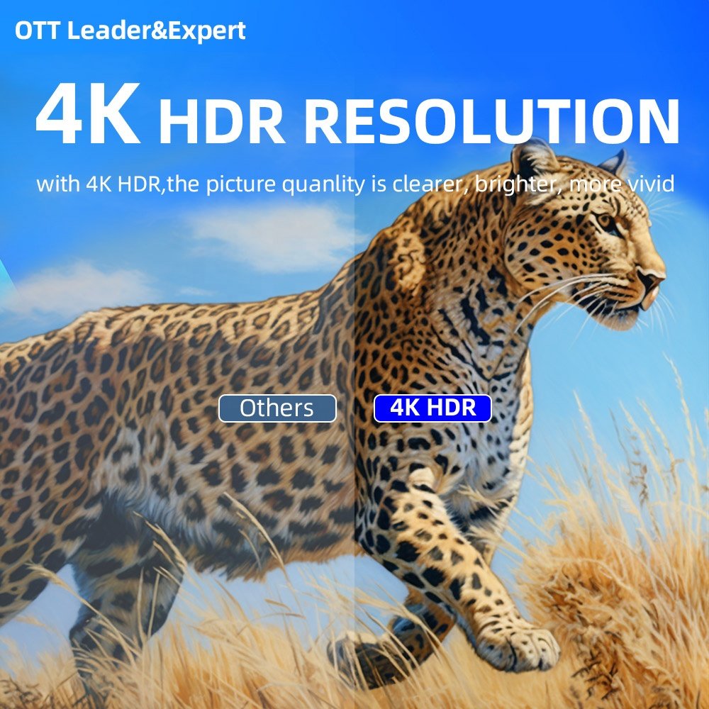 4K h.265 Android streaming TV Box lifetime IPTV 5G/2.4G Dual Wifi Factory Discount Smart OTT STB Set-top Box Ready to Ship