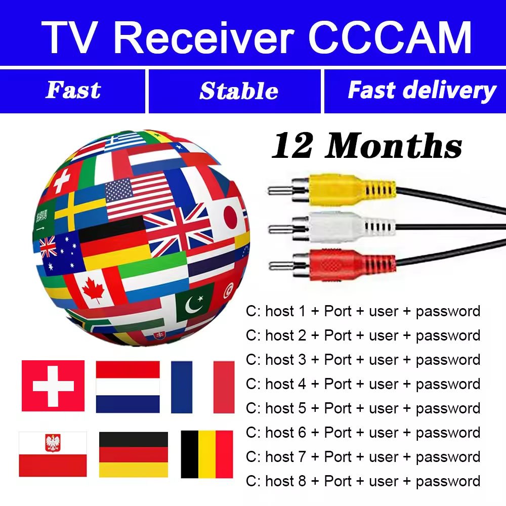 2024 Stable Cccam Egygold Line Oscam Ccam 8 Line Poland Slovakia Germany Italy Europe Satellite TV Receiver DVB-S2 Set Top Box