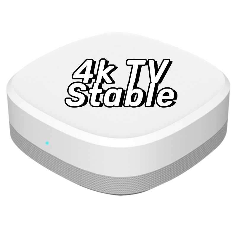 Trex IPTV 4K Android tv BOX M3U English UK German Germany Poland Polish Netherlands Holland European For Set Top Box