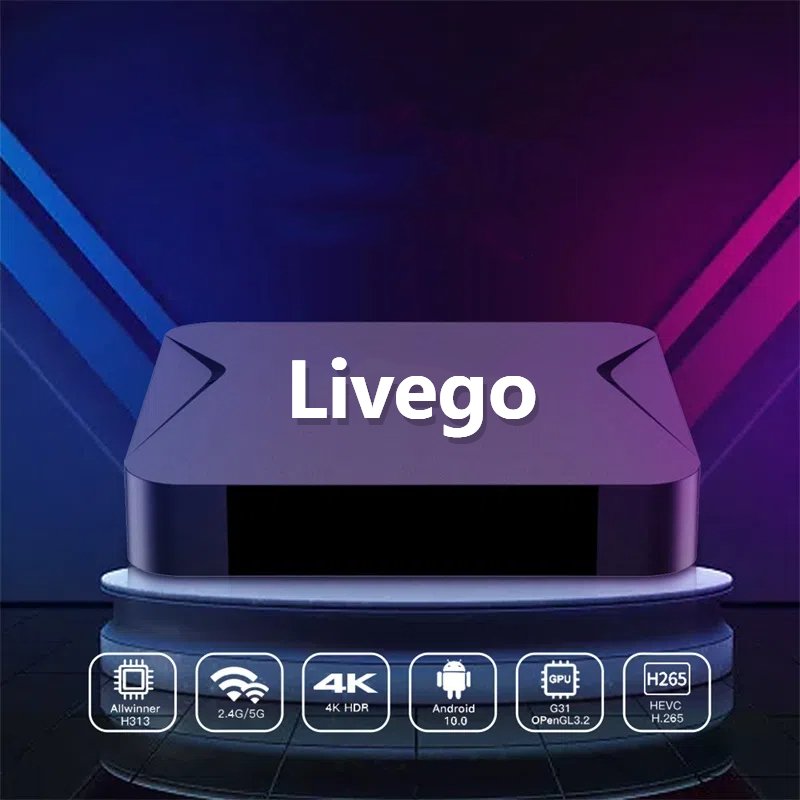 Livego Stable Android 11 TV Box Allwinner H313 Quad Core Device Support Free Test Set Top Box Smart TV Reseller Price
