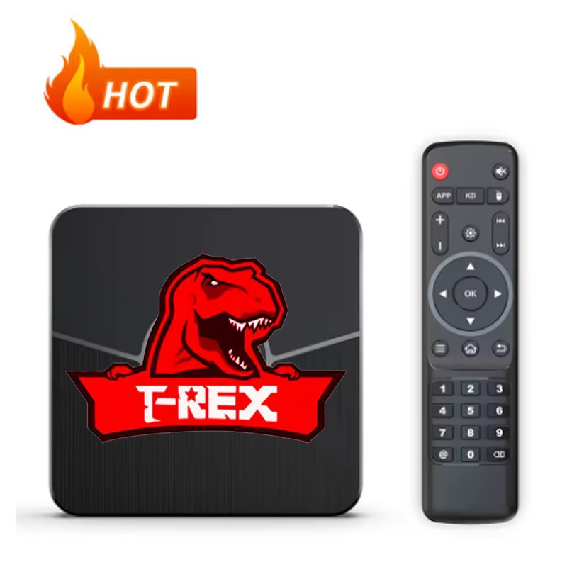 Trex server Full HD TV Box Hot IP TV player High Quality stalbe free test Set top box