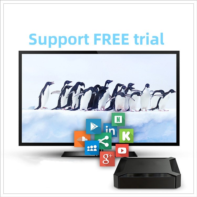 2024 Popular Trex Global IPTV Box 8K 5G UHD OTT Smart TV T-rex Set-top Box
