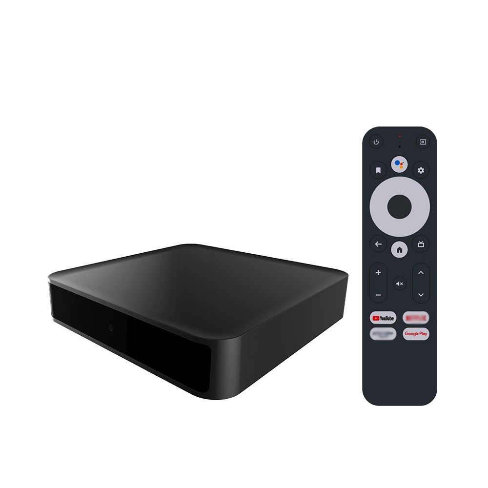 Newest Google Certified TV Streaming Box 4K Dcolor GD2 Android 12 2+32GB Google TV Android 12 smart set top box
