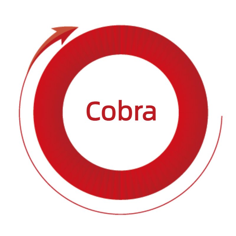 Best Cobra Android 9 TV Box Rockchip RK3328 Quad Core Smart TV VIP Reseller Price Android Box