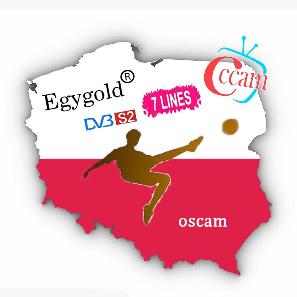 lz Egygold Cccam lines oscam for Poland Europe Slovakia Germany Italy Europe Satellite Receiver Dvb-S2 Set Top Box