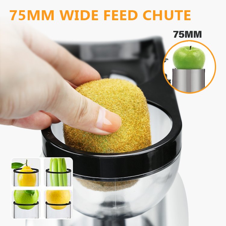 2024 Power Juicer Easy Clean Home Electric Extractor Masticating Slow Juicer Machine For Whole Fruit Slow Juicer Machine