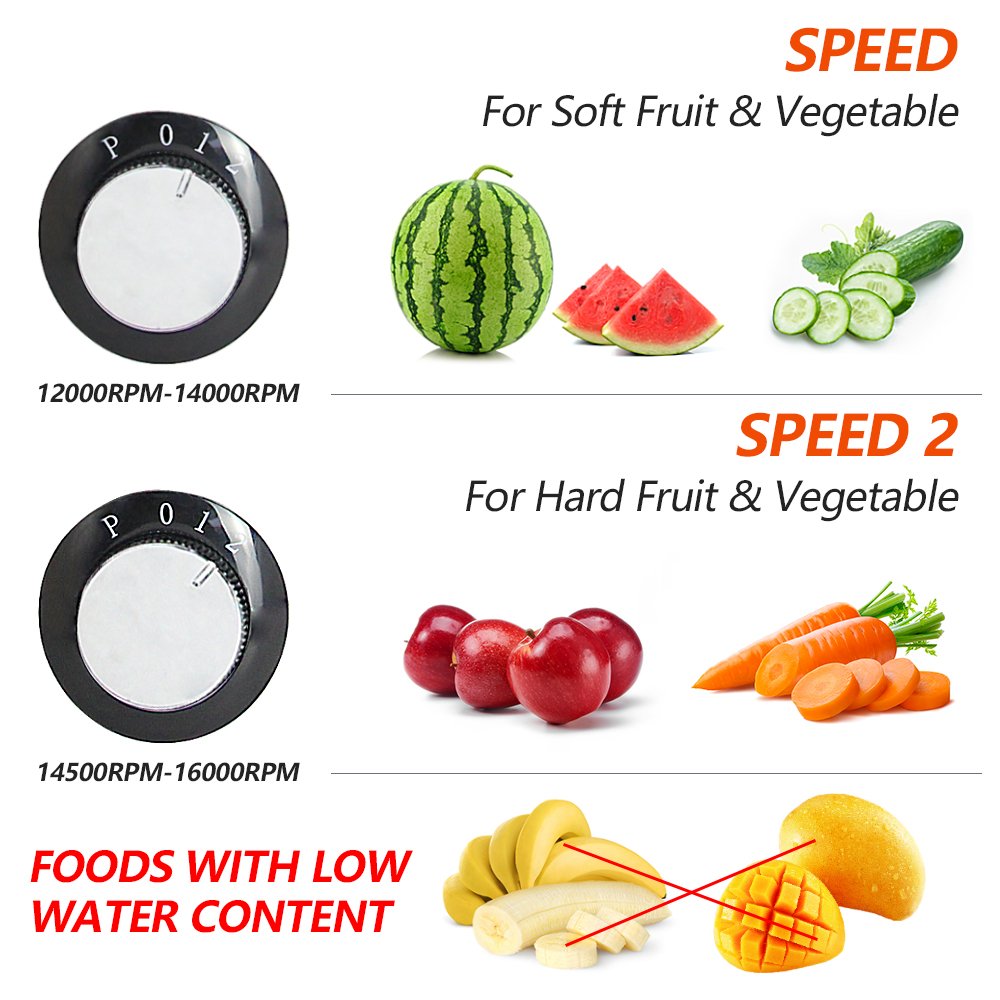 Hot Sell Household Electric Commercial Stainless Steel Centrifugal Fresh Fruits Juicer Blender