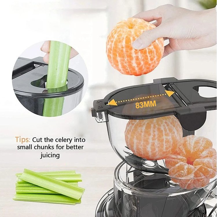 Professional Commercial Household Smoothie Blender Juicer Extractor Machine Slow Masticating Juicer Machine With Quiet Dc Motor