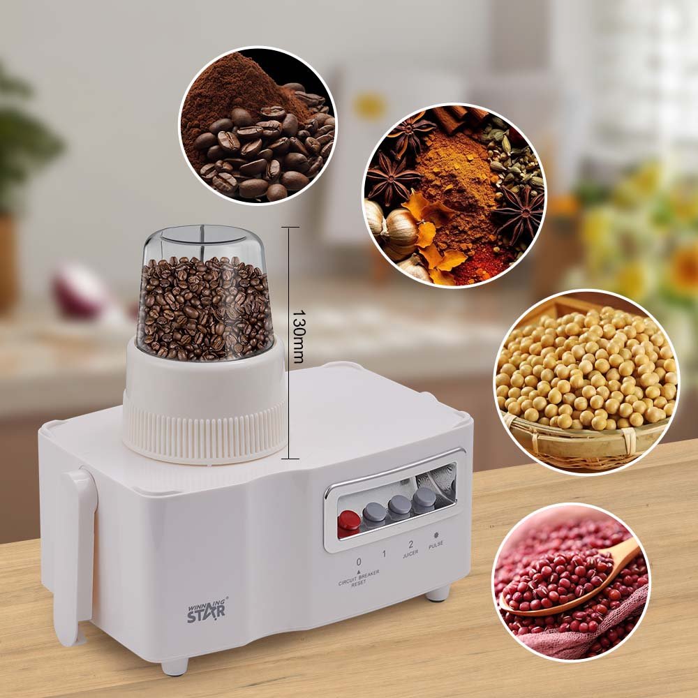 WINNING STAR 4 In 1 Mixer 350w Orange Juicer ST-5558 Stainless Steel 2 Knife Orange Juicer Electric Blender Machine Juicer
