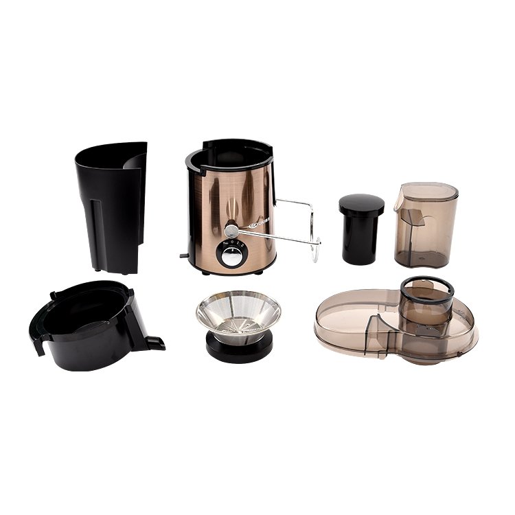 New design private label carrot apple juicer masticating extractor machine kitchen home blenders and juicers