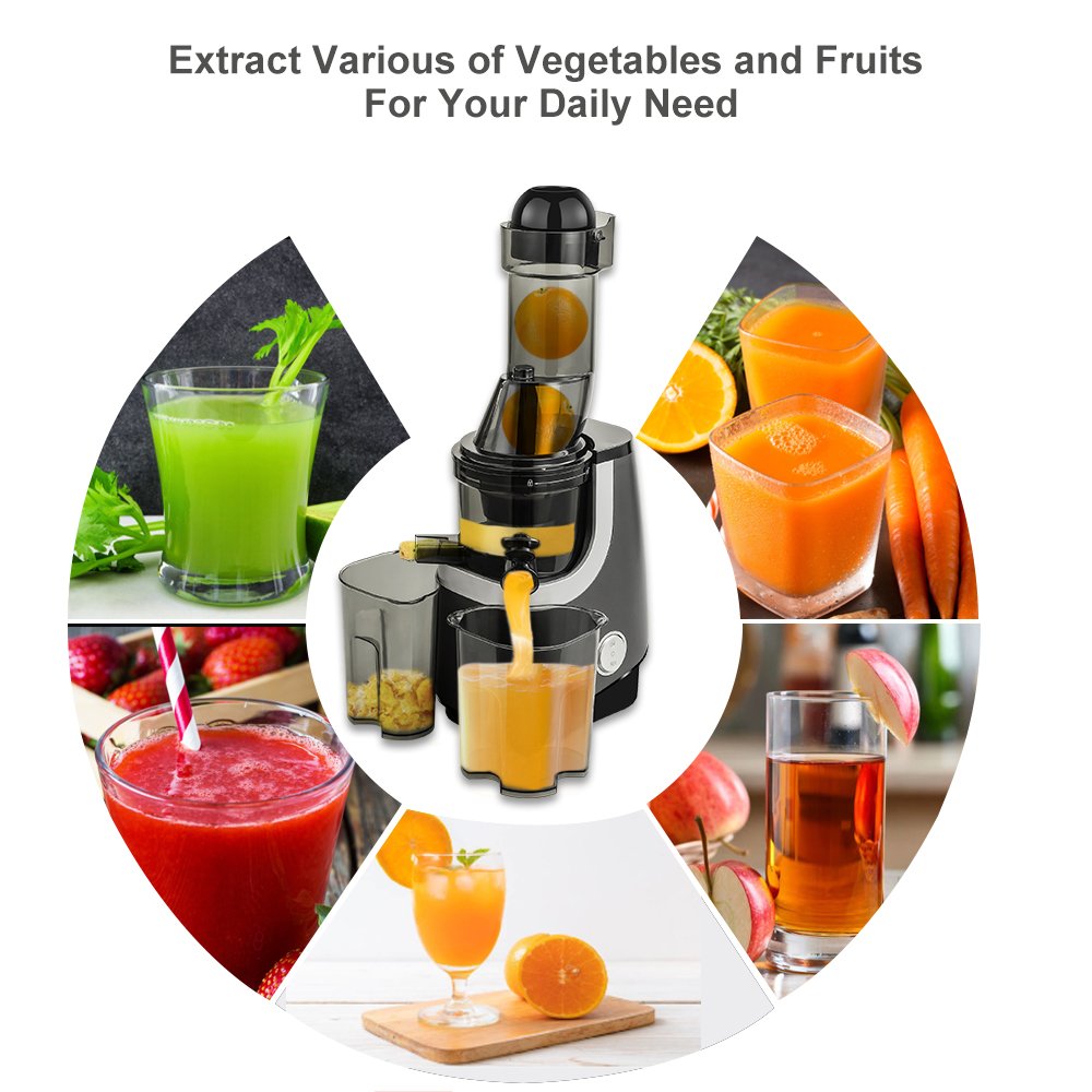 Wide Chute Slow Masticating Juicer BPA FREE Cold Press Blender for High Nutrient Fruit and Vegetable Juicer