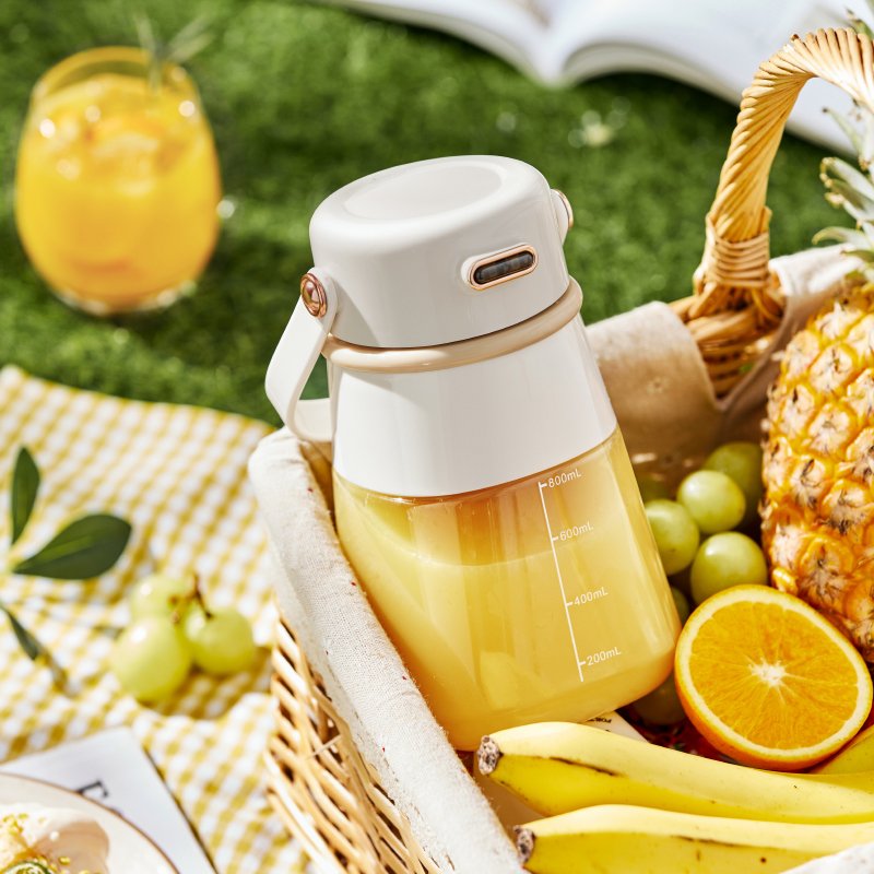 Rechargeable Portable Juicer Cup 800ml electric blender mixer bottle portable juice blender