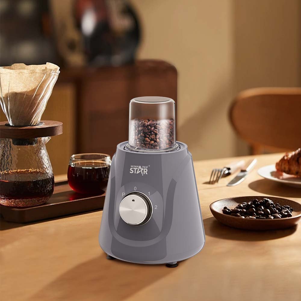 WINNING STAR Vegetable Fruit Rechargeable Juicer Portable Mixer Juicers 12V ST-9793 Ice Portable Smoothie Blender For Home Use