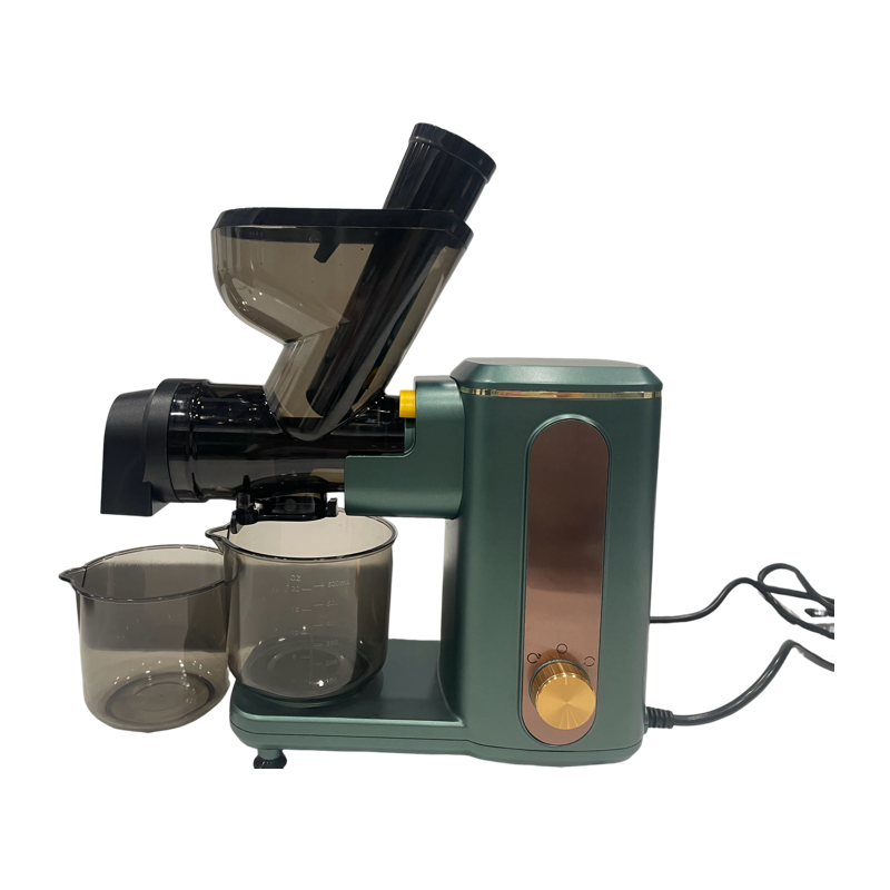 Tiktok Hot Selling Portable Fruit Ice Mixer Cup Blender Slow Masticating Juicers