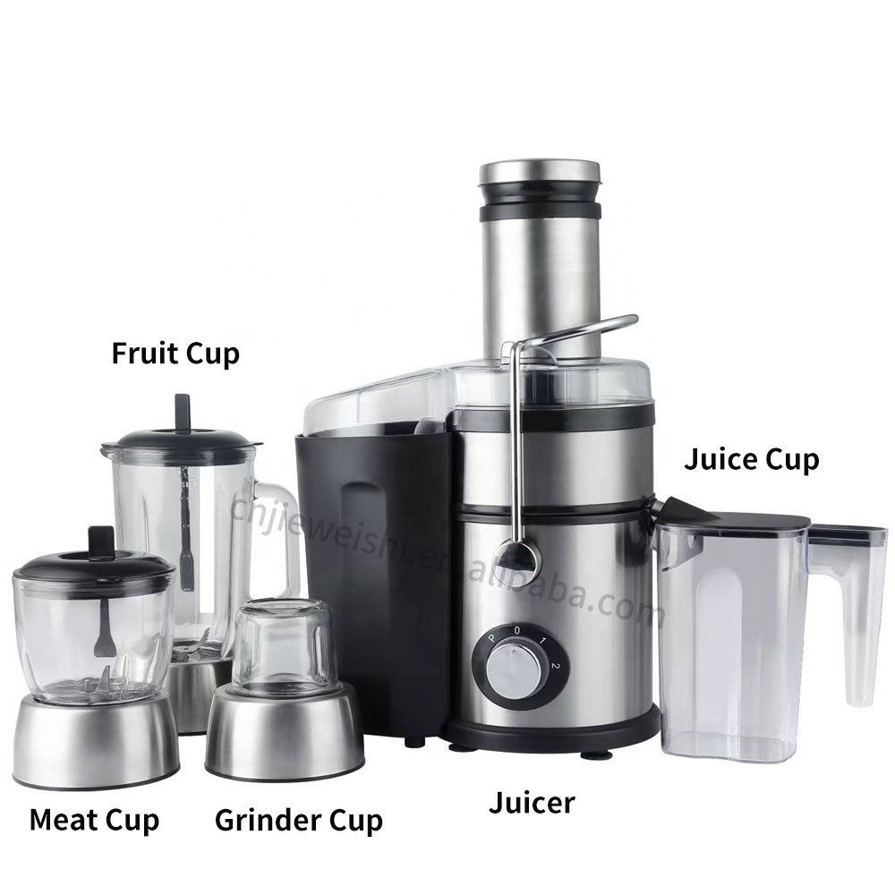 2024 New Stainless Steel Fruits and Vegetables Cold Press Masticating Juicer Automatic Grinder Big Mouth Juicer Blender 4 In 1