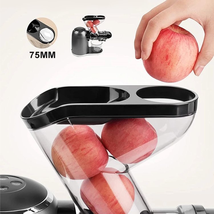 Cold Press Fruit Juicer Commercial Extractor Machine Orange Bottle Citrus Portable Juicer Blender
