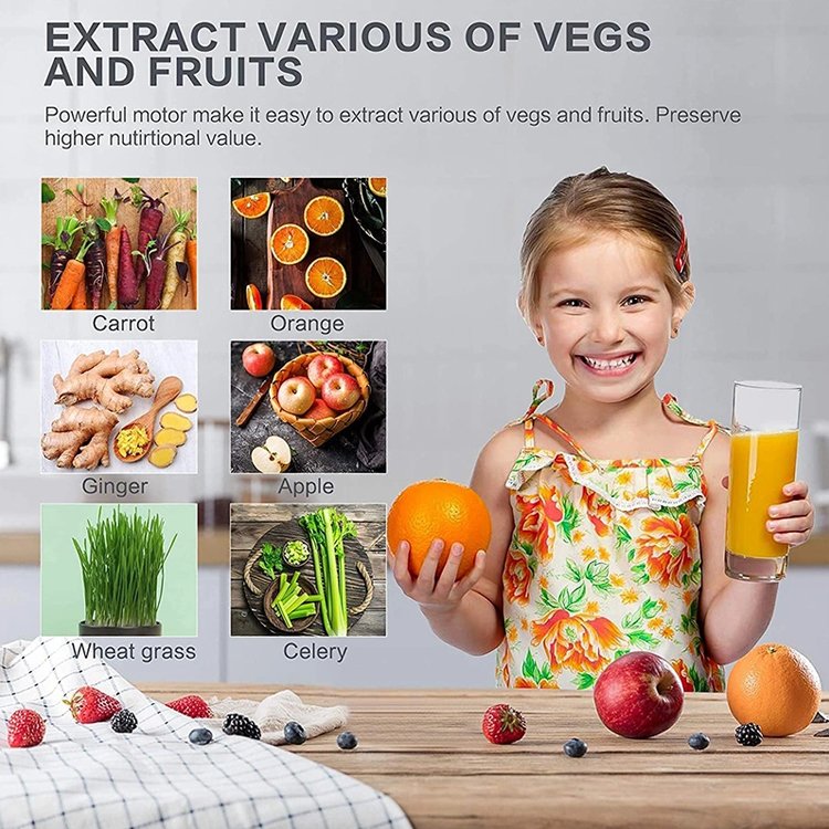 Automatic Pulp Household Commercial Blender Slow Juicer Extractor Home Appliances Fresh Juice Blender Licuadora Portati