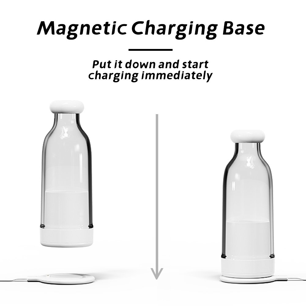 New Arrival Portable Juicer,300ml Fruit Ice Mixer USB Charge Battery Juicer, Mini Fresh Juicer Blender
