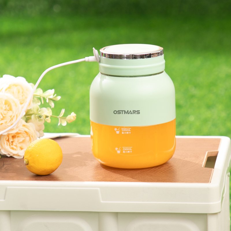 Portable Juicer Bottle Blender New Design 800ML Rechargeable Portable Blender