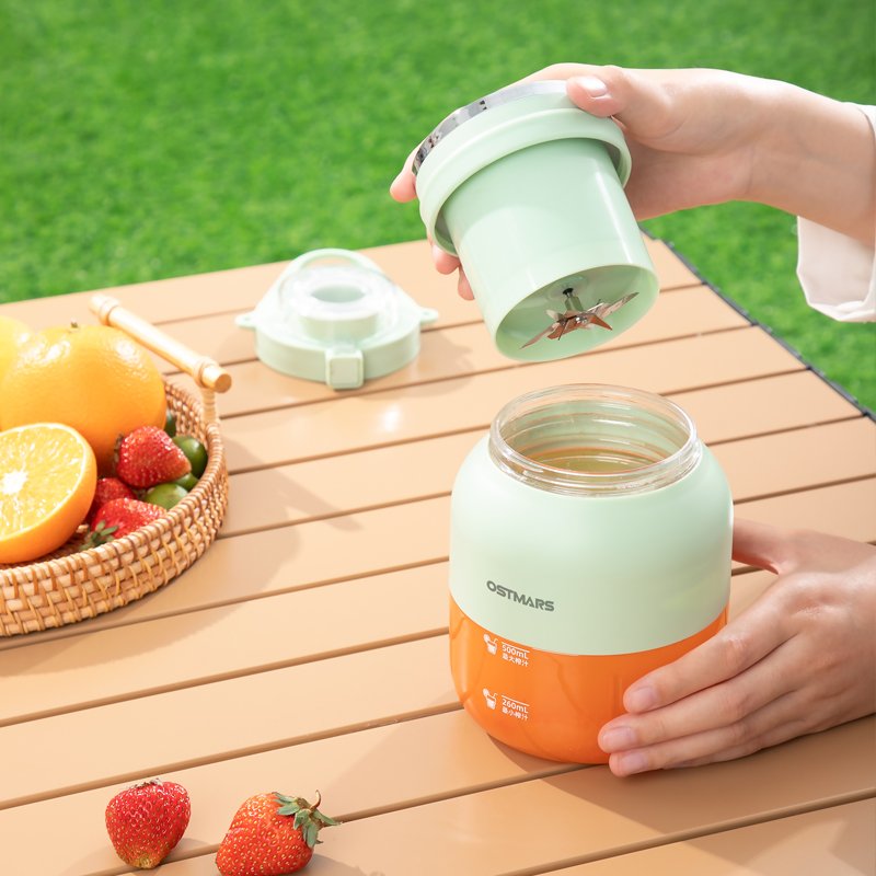 Portable Juicer Bottle Blender New Design 800ML Rechargeable Portable Blender