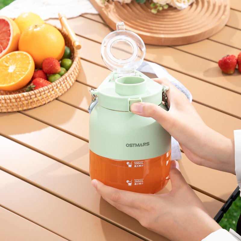 Portable Juicer Bottle Blender New Design 800ML Rechargeable Portable Blender