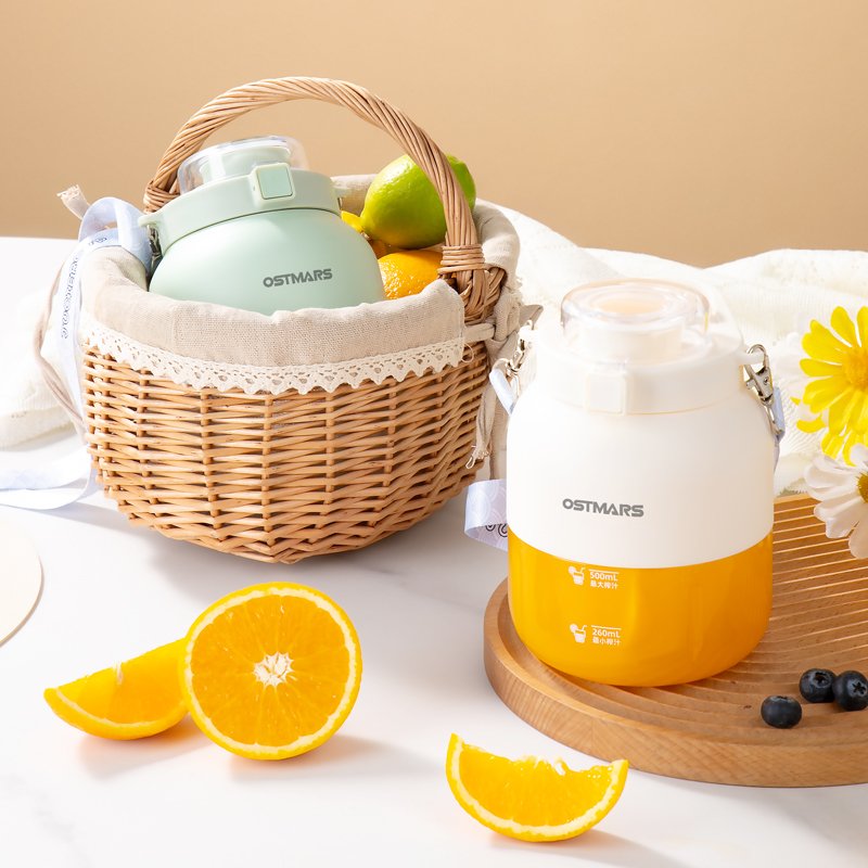 Portable Juicer Bottle Blender New Design 800ML Rechargeable Portable Blender