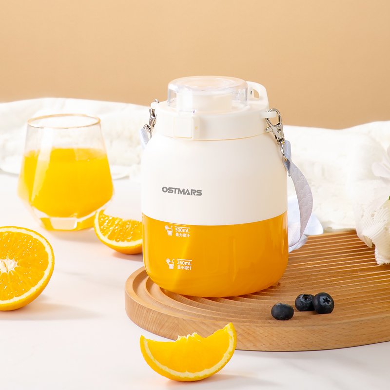 Portable Juicer Bottle Blender New Design 800ML Rechargeable Portable Blender