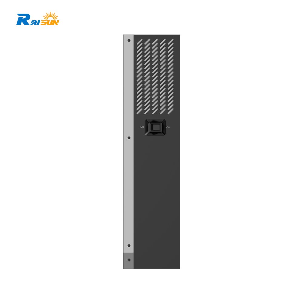 Raisun factory 5.5KW MPPT 100A PV 220V 48V 5500W Parallel 12pcs 3 Phase Hybrid Solar inverter for solar energy system