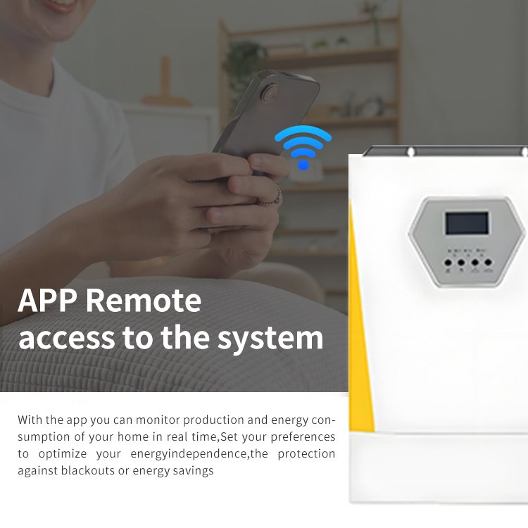 24V 48V Single Phase Frequency Inverter Solar Inverter Price 4.2KW 6.2KW Hybrid Inverter Off Grid Set Up For Home