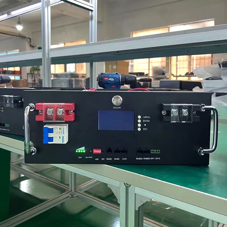 Deye BOS-G Germany LiFePO4 Battery Cell 51.2V 100Ah 5kwh Cabinet type solar inverter Energy Storage Battery