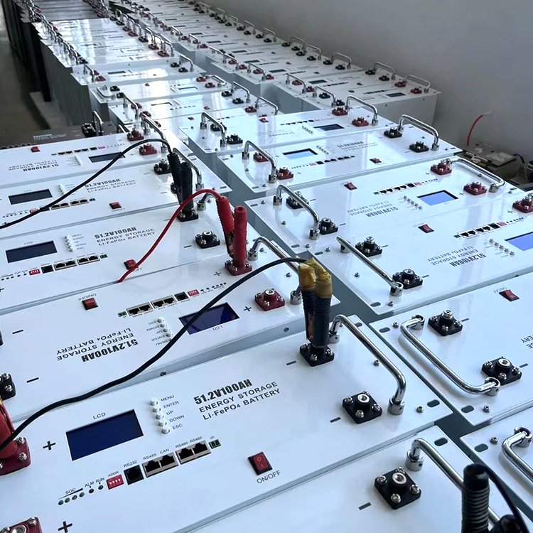 Deye BOS-G Germany LiFePO4 Battery Cell 51.2V 100Ah 5kwh Cabinet type solar inverter Energy Storage Battery
