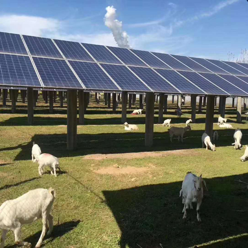 Tier 1 Solis solar Inverters 4kw Inverter Cheap Price Single/Three Phase 4000W Solar Inverter