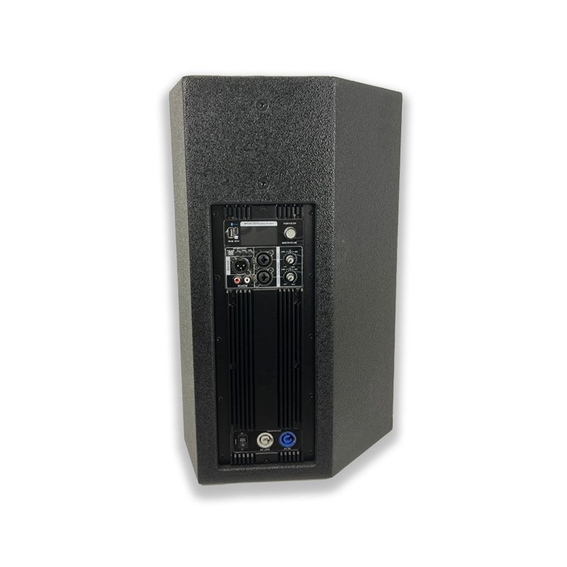 VS-10 Professional 10-Inch Array System Stage Application Audio Subwoofer Speakers Active DSP Professional for Sound Equipment