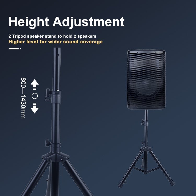 Accuracy DJSET001 PA Sound System DJ Set Equipment Professional Audio Solution DJ Speaker Set System for DJs and Musicians