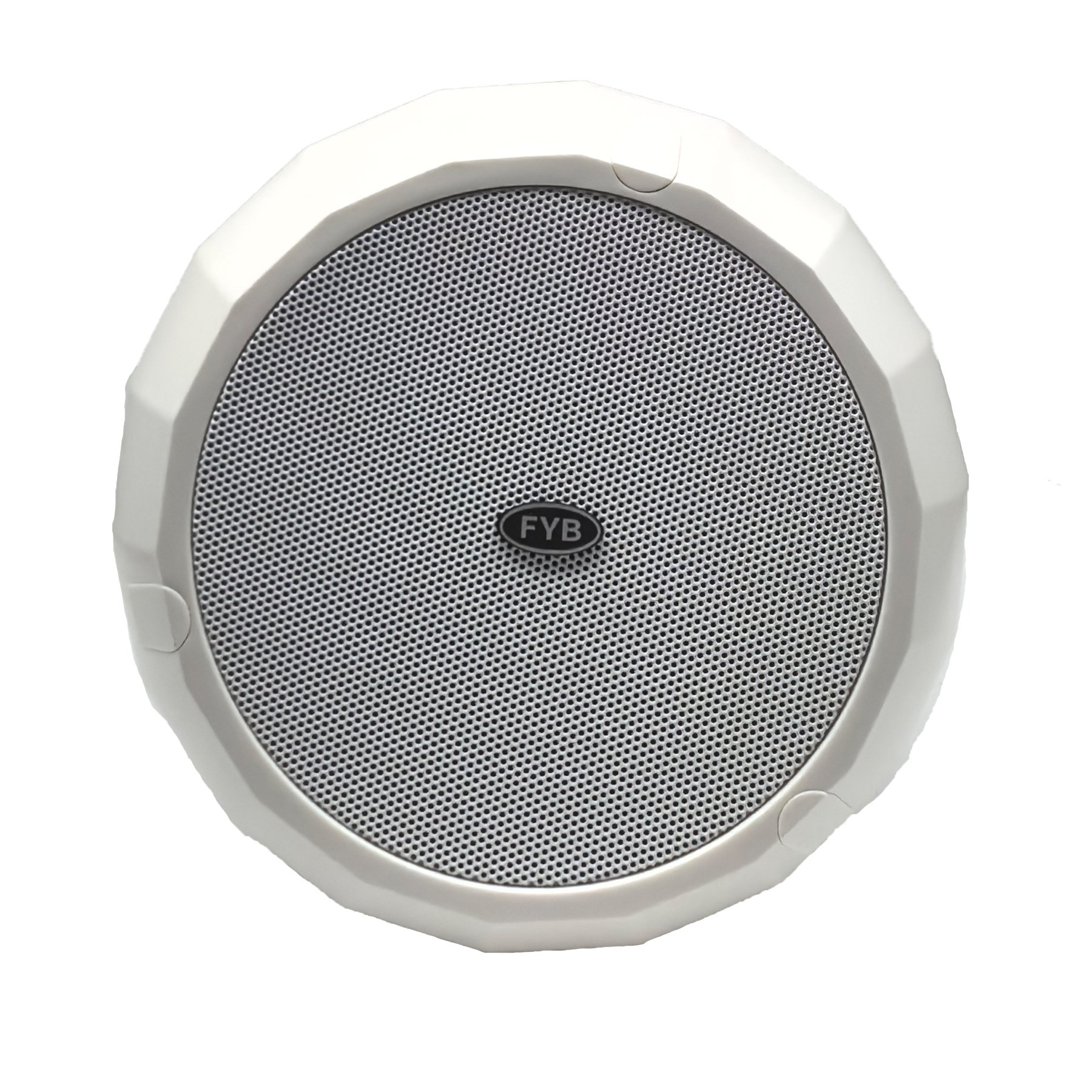 Hot Sale PA 6Inches Pendant Commercial Speaker High-performance Audio Pendent Speaker Indoo Hanging Audio Sound Equipment